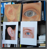 Studio paintings human anatomy