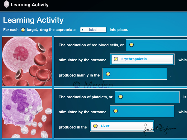 Interactive Learning Activity and Illustrations